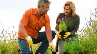 Mature Couple Gardening